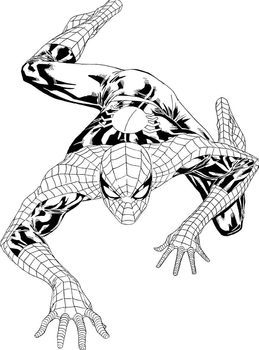 Spider-Man coloring page.