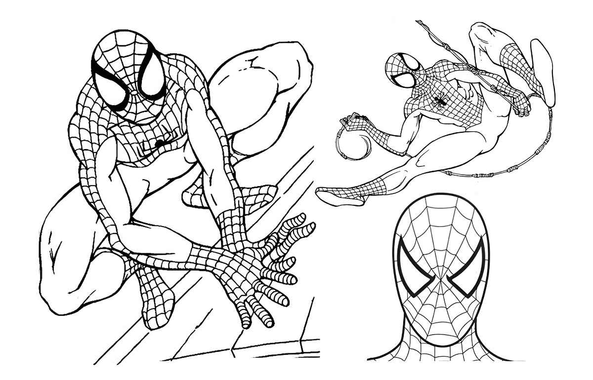 Spider-Man coloring page for kids.