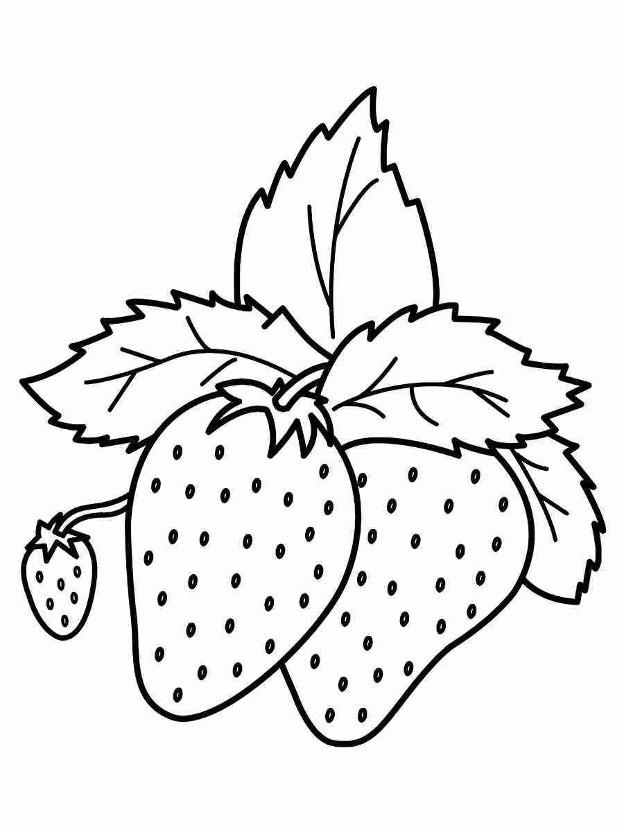 strawberry coloring page 4