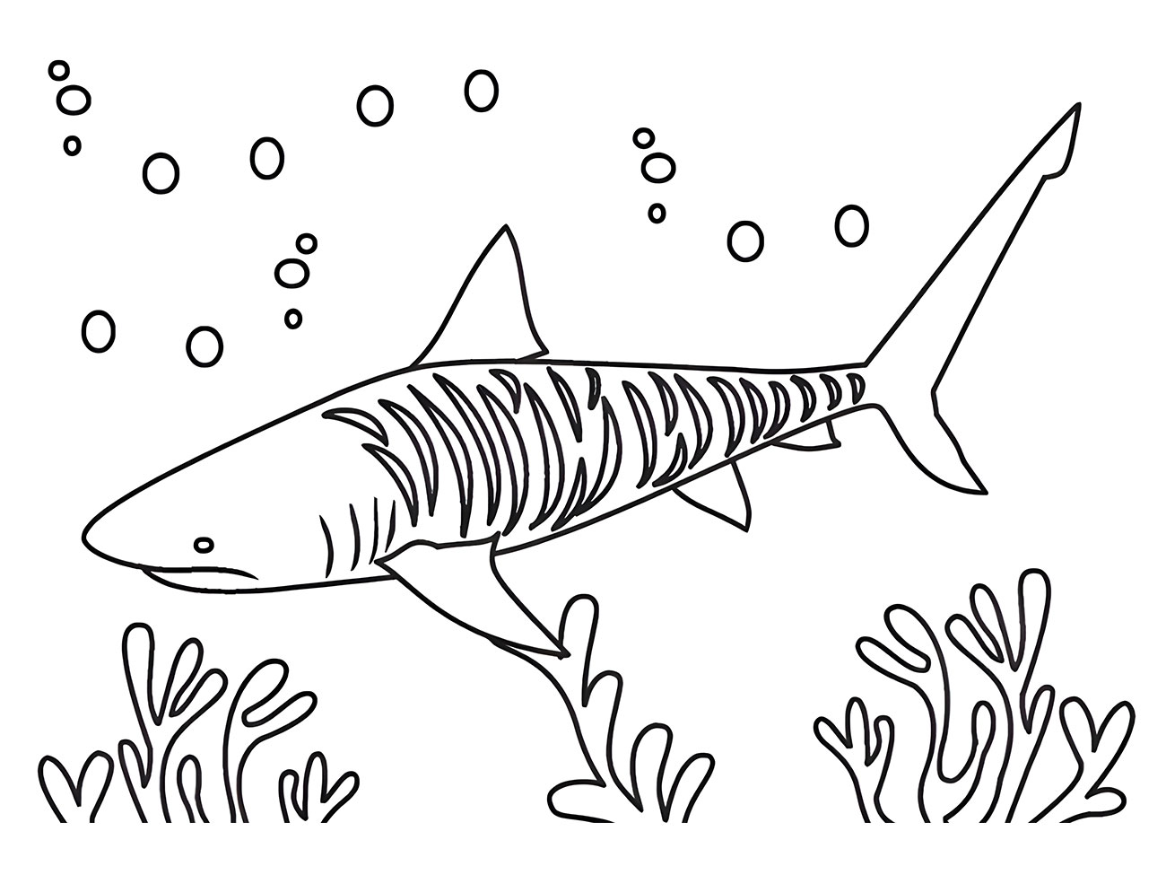 Coloring page of a tiger shark.