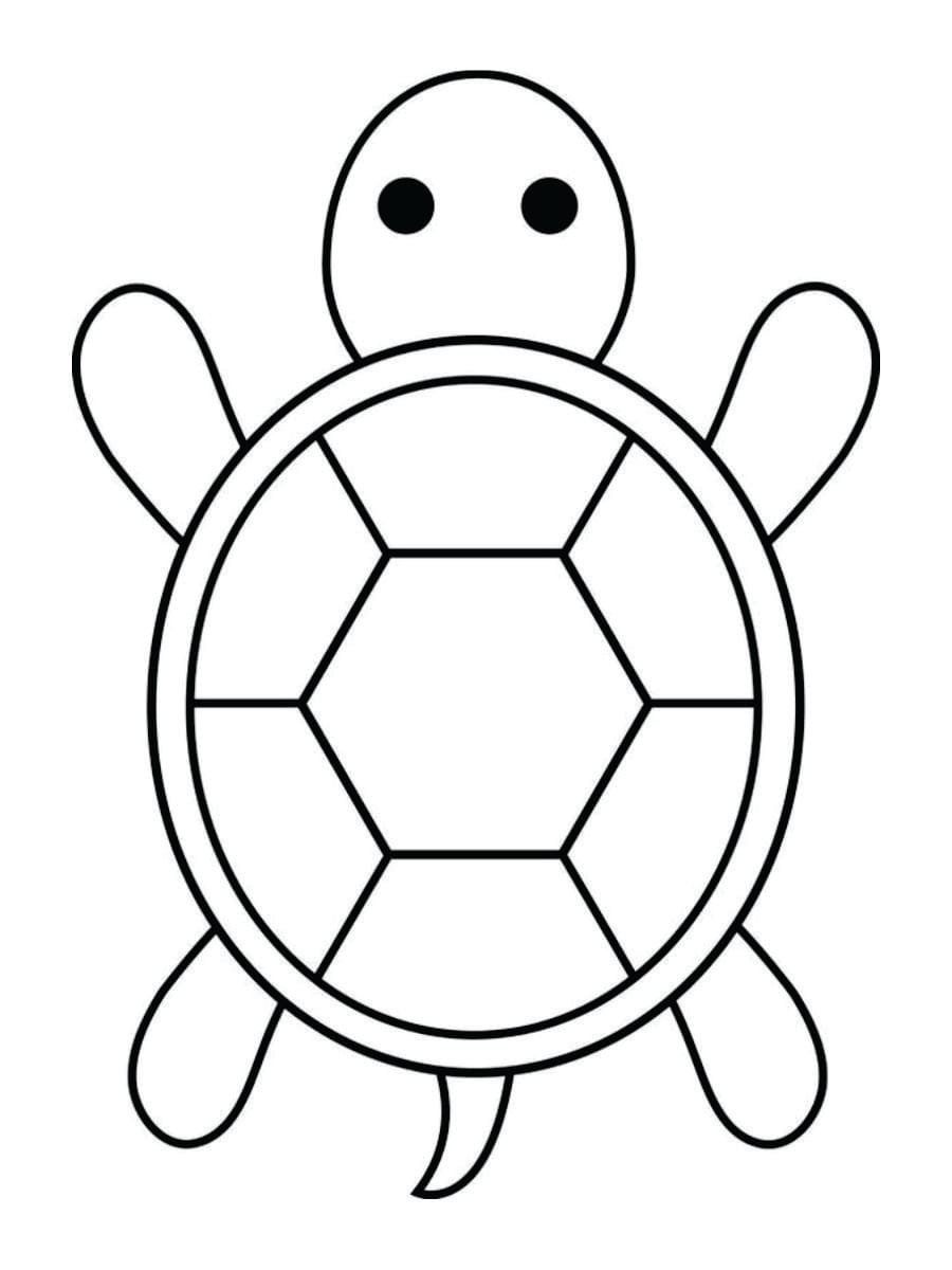 Coloring page of a turtle for kids