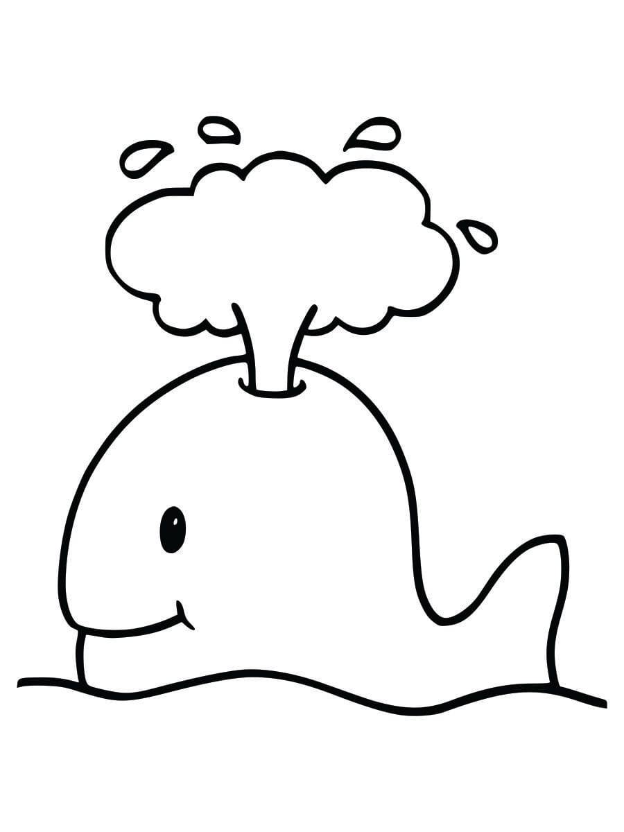 Coloring page of a whale for kids