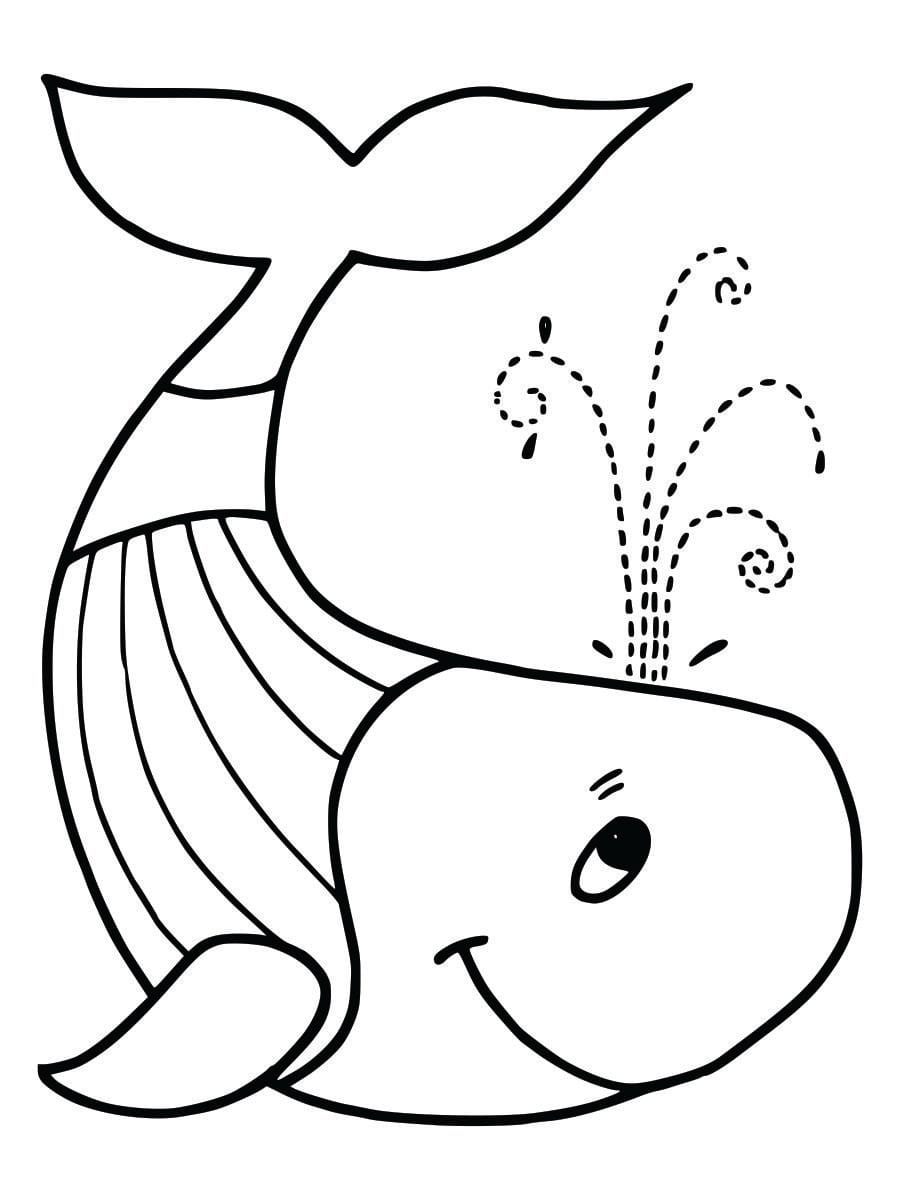 Coloring page of a whale for kids